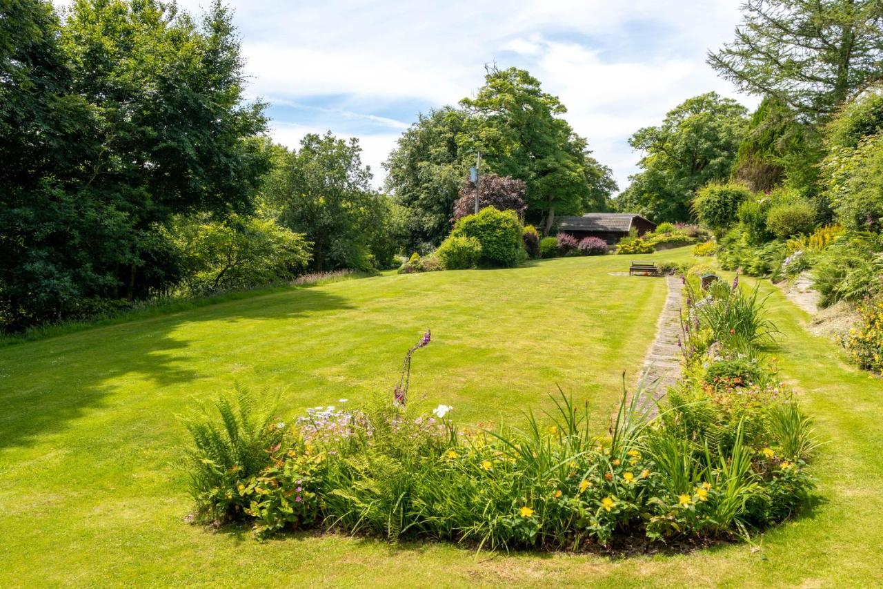 Ta Mill Cottages & Lodges - Meadowview Chalet 1 Launceston Exteriör bild