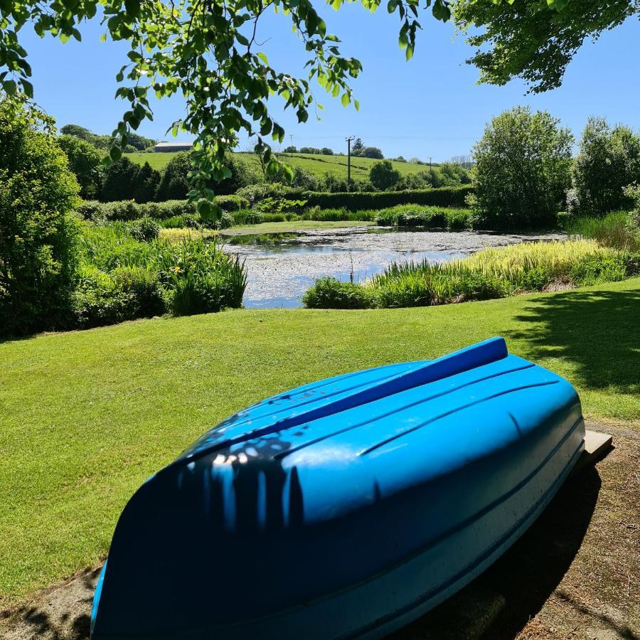 Ta Mill Cottages & Lodges - Meadowview Chalet 1 Launceston Exteriör bild