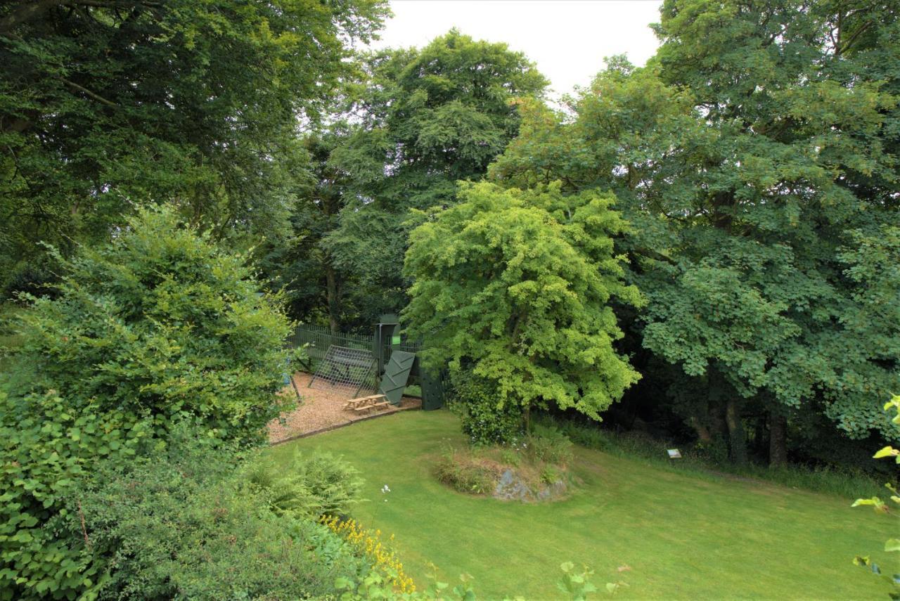 Ta Mill Cottages & Lodges - Meadowview Chalet 1 Launceston Exteriör bild